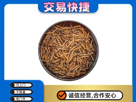 海东乐都区回收散虫草